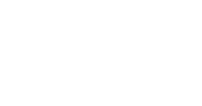 Advance Growth Partners - Executive AI Transformation Consultancy
